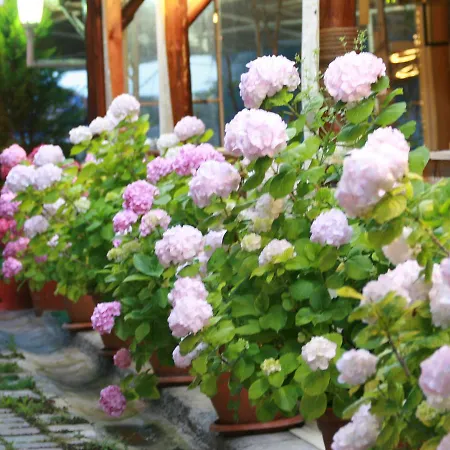 Tahir - Adult Only Hotel Agva (Marmara)